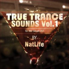 True Trance Sounds vol.1 for Serum