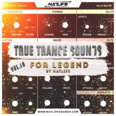 True Trance Sounds Vol. 10 for The Legend