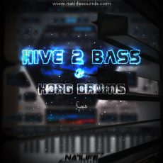 Hive 2 Bass & Korg Drums V1